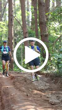 BIB:  <button type="button" onclick="openModal(26569687)" class="btn btn-primary btn-sm float-right" data-toggle="modal" data-target=".modal-high-quality">
                <i class="fa fa-download"></i> Download
                </button>